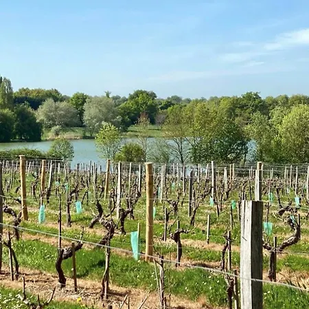 La Pierre Du Bonheur Maison De Village De 2 A 8 Personnes