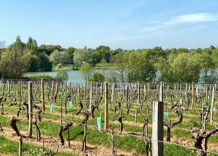 La Pierre Du Bonheur Maison De Village De 2 A 8 Personnes